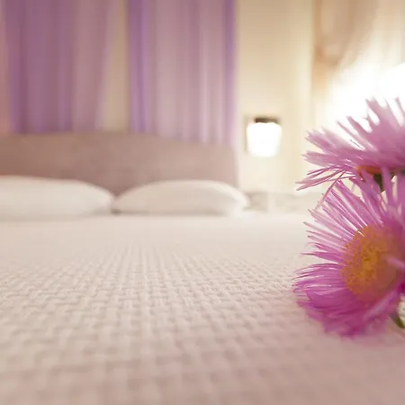Sunny Hill 3* Sani (Chalkidiki)