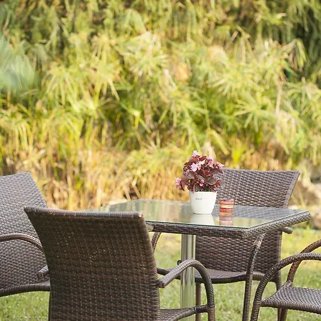 Sunny Hill Hotell Sani (Chalkidiki)