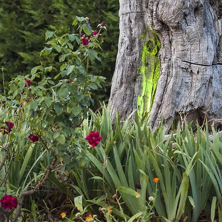 Sunny Hill Sani (Chalkidiki)